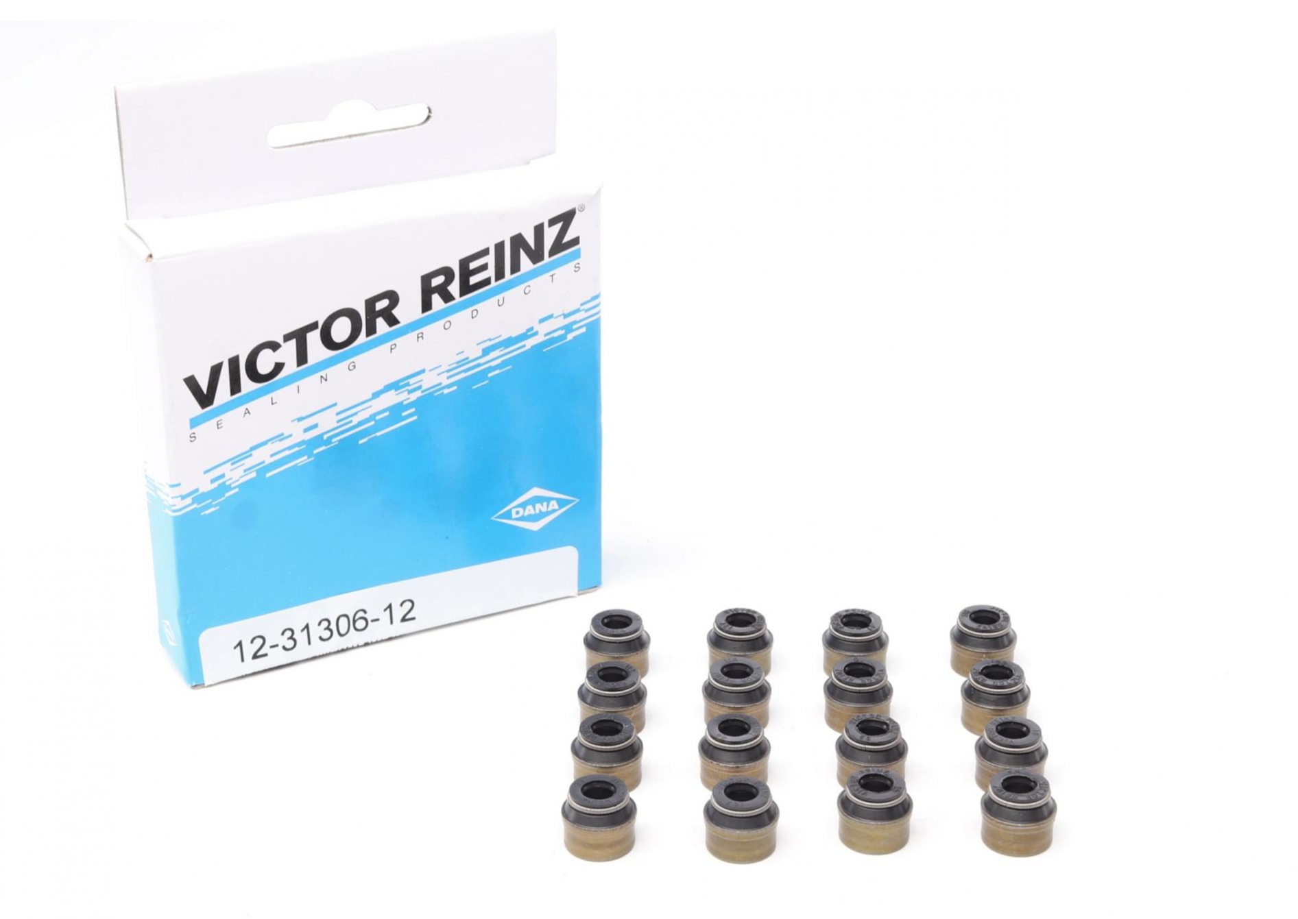 024098301 VICTOR REINZ